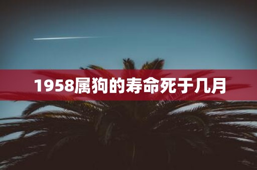 1958属狗的寿命死于几月