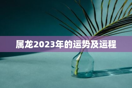 属龙2025年的运势及运程