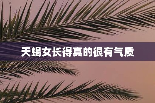 天蝎女长得真的很有气质
