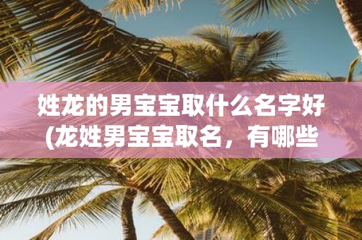 姓龙的男宝宝取什么名字好(龙姓男宝宝取名，有哪些好听的选择？)