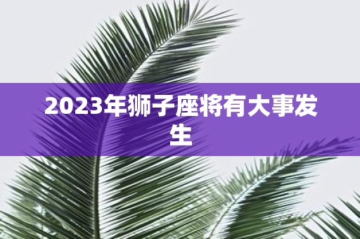 2025年狮子座将有大事发生