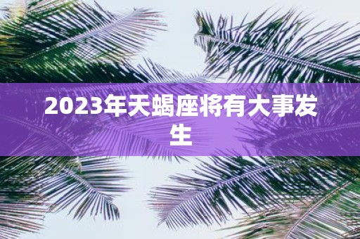 2025年天蝎座将有大事发生