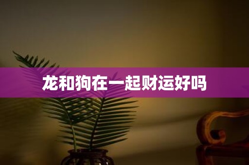 龙和狗在一起财运好吗