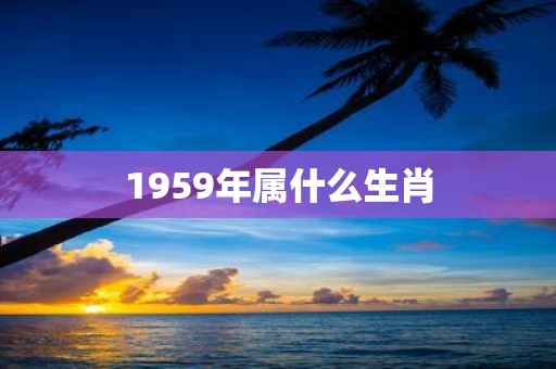 1959年属什么生肖