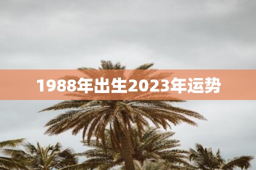 1988年出生2025年运势