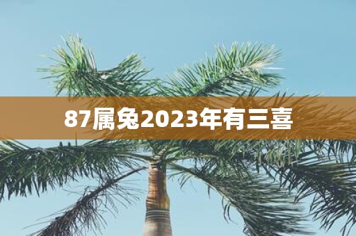 87属兔2025年有三喜