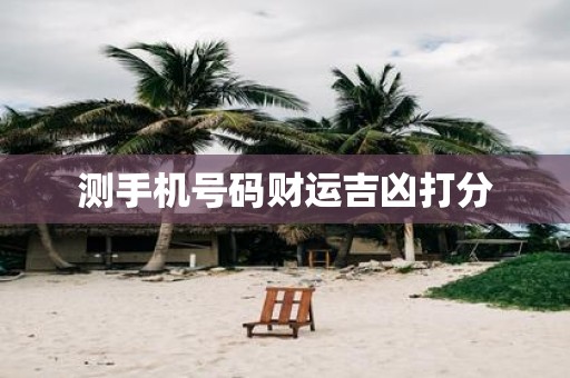 测手机号码财运吉凶打分