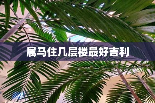 属马住几层楼最好吉利