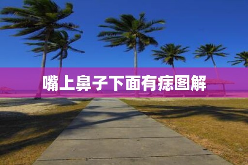 嘴上鼻子下面有痣图解
