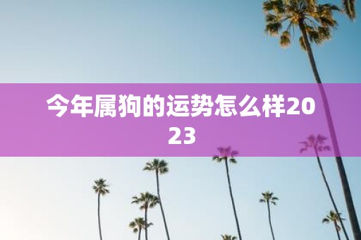 今年属狗的运势怎么样2025