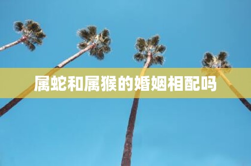 属蛇和属猴的婚姻相配吗