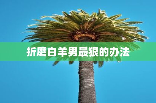 折磨白羊男最狠的办法