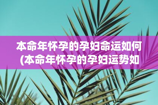 本命年怀孕的孕妇命运如何(本命年怀孕的孕妇运势如何？)