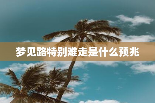 梦见路特别难走是什么预兆