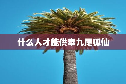 什么人才能供奉九尾狐仙