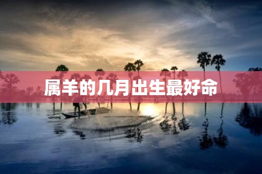 属羊的几月出生最好命