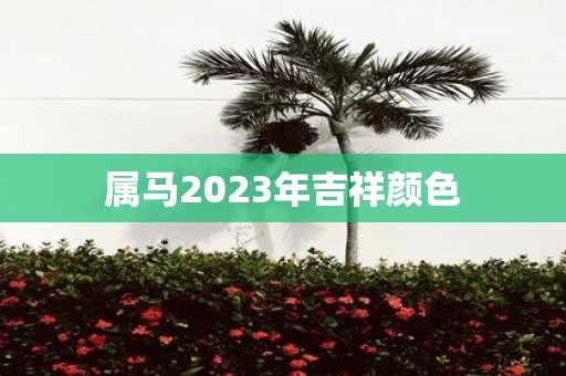 属马2025年吉祥颜色