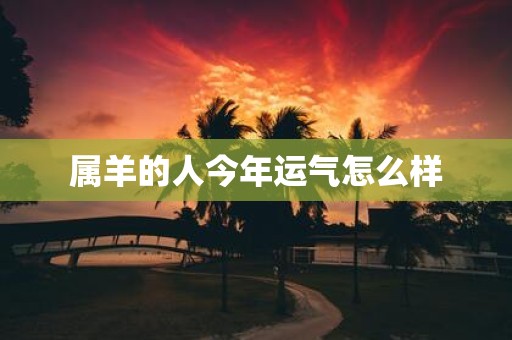 属羊的人今年运气怎么样