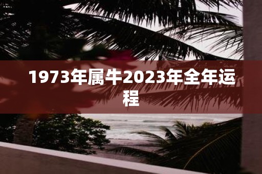 1973年属牛2025年全年运程