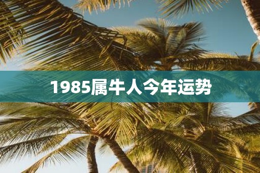 1985属牛人今年运势