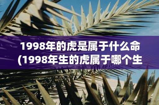 1998年的虎是属于什么命(1998年生的虎属于哪个生肖命？)