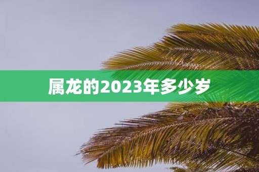 属龙的2025年多少岁