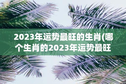 2025年运势最旺的生肖(哪个生肖的2025年运势最旺？)