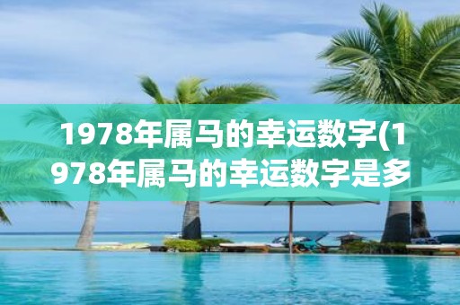 1978年属马的幸运数字(1978年属马的幸运数字是多少？)