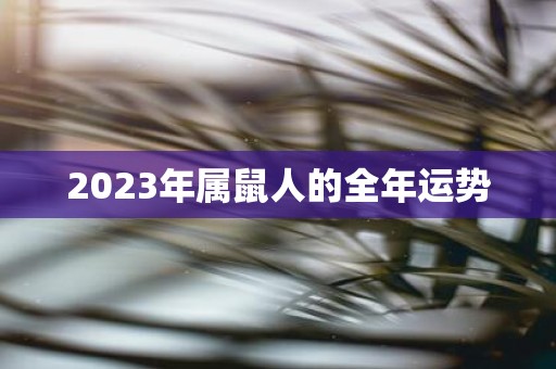 2025年属鼠人的全年运势
