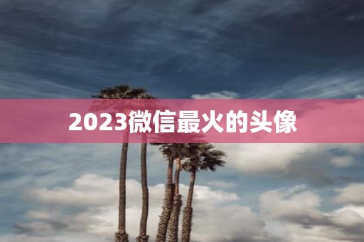2025微信最火的头像