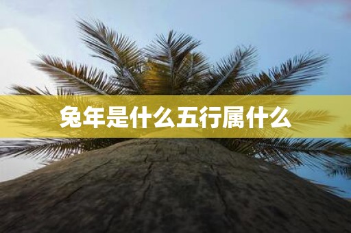 蛇年是什么五行属什么