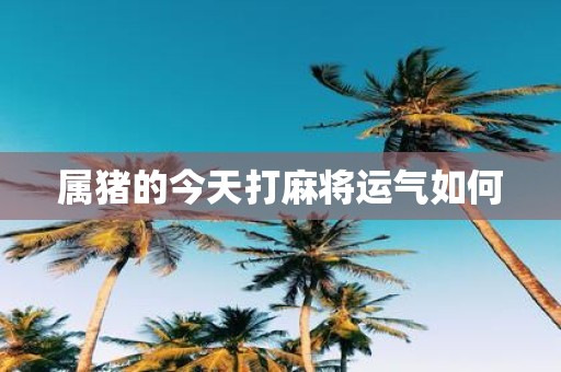 属猪的今天打麻将运气如何