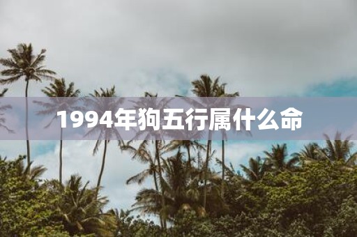 1994年狗五行属什么命
