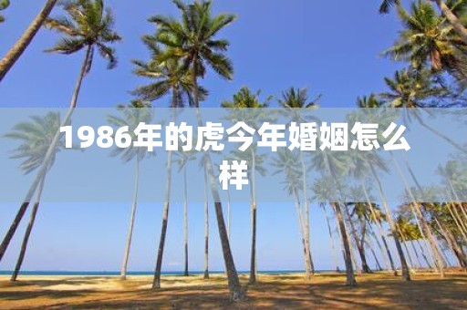 1986年的虎今年婚姻怎么样