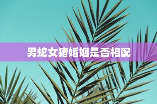 男蛇女猪婚姻是否相配