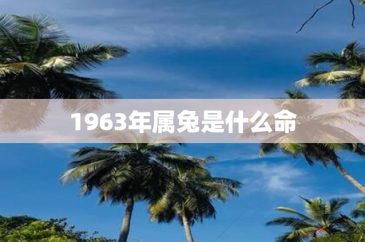 1963年属兔是什么命