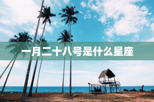 一月二十八号是什么星座