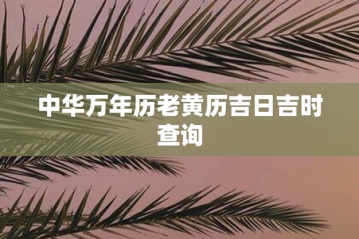 中华万年历老黄历吉日吉时查询