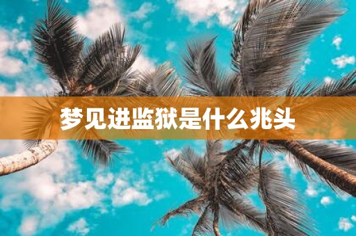 梦见进监狱是什么兆头