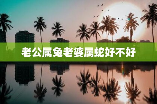 老公属兔老婆属蛇好不好