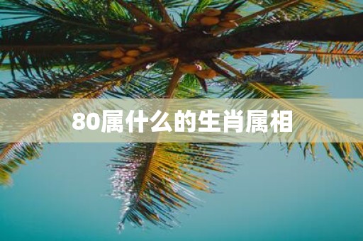 80属什么的生肖属相