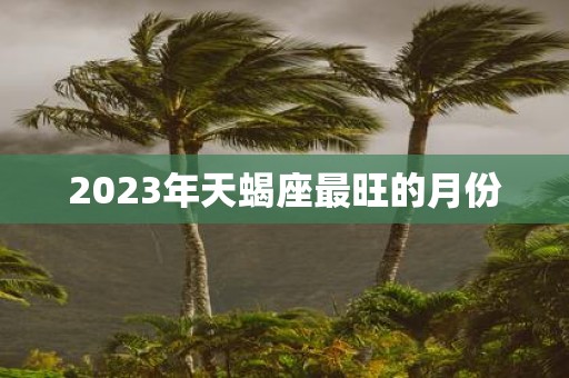 2023年天蝎座最旺的月份