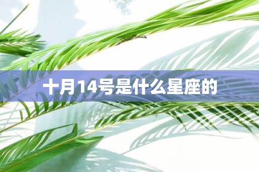 十月14号是什么星座的