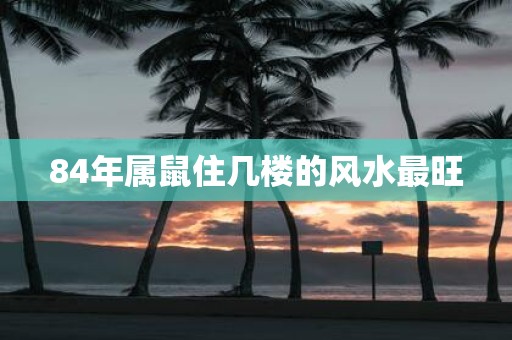 84年属鼠住几楼的风水最旺