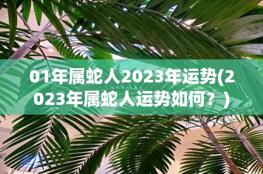 01年属蛇人2023年运势(2023年属蛇人运势如何？)