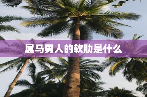 属马男人的软肋是什么