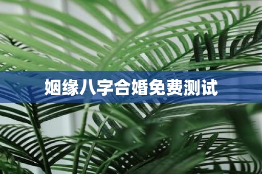 姻缘八字合婚免费测试