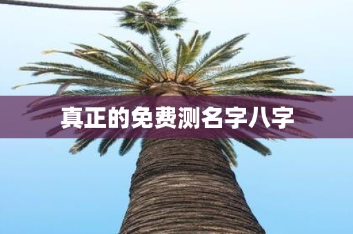 真正的免费测名字八字