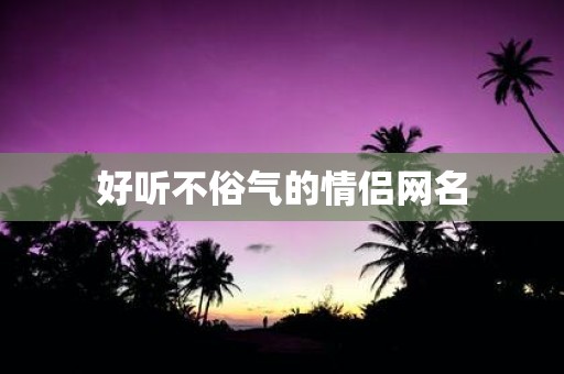 好听不俗气的情侣网名