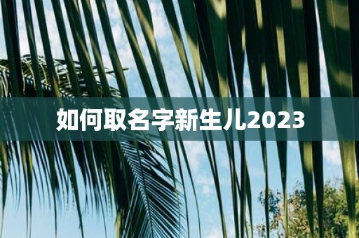 如何取名字新生儿2025